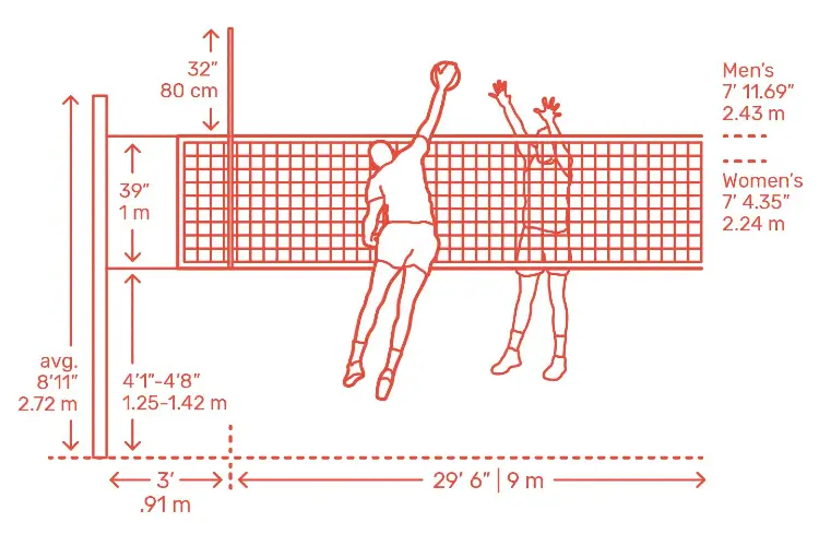 volleyball net height